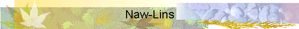 Naw-Lins